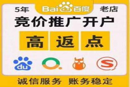 百度竞价赚钱技巧：实战案例分析